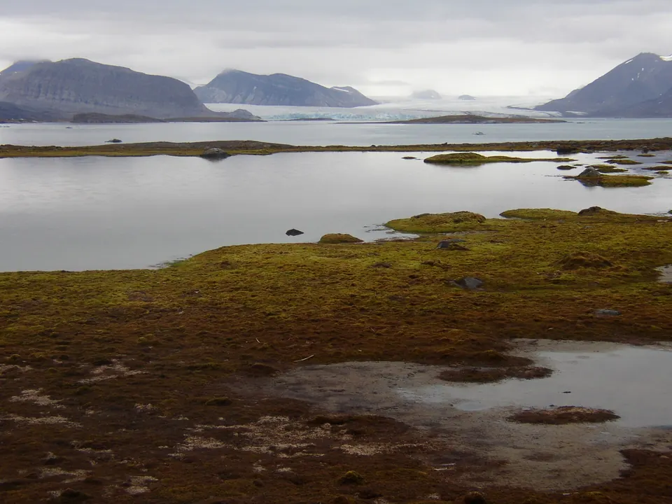 Der Kongsfjord mit Gletschern und Eisschollen im Sommerlicht